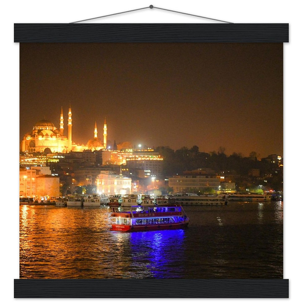 Thumbnail: Istanbul Horizontal Poster with Hanger