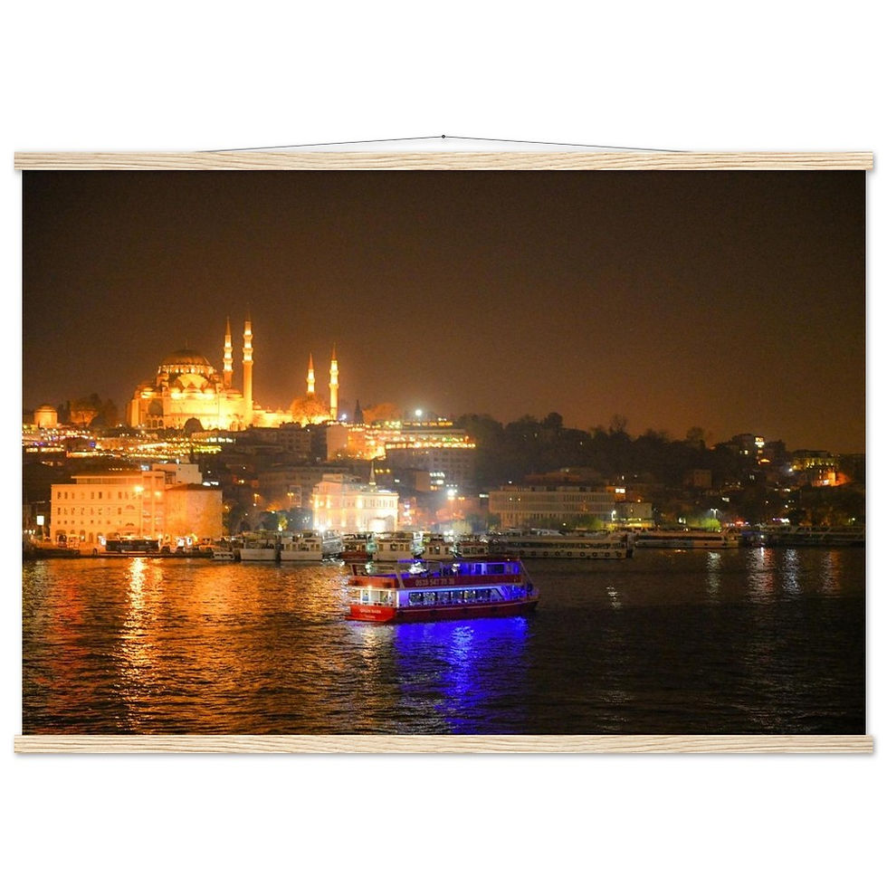 Thumbnail: Istanbul Horizontal Poster with Hanger