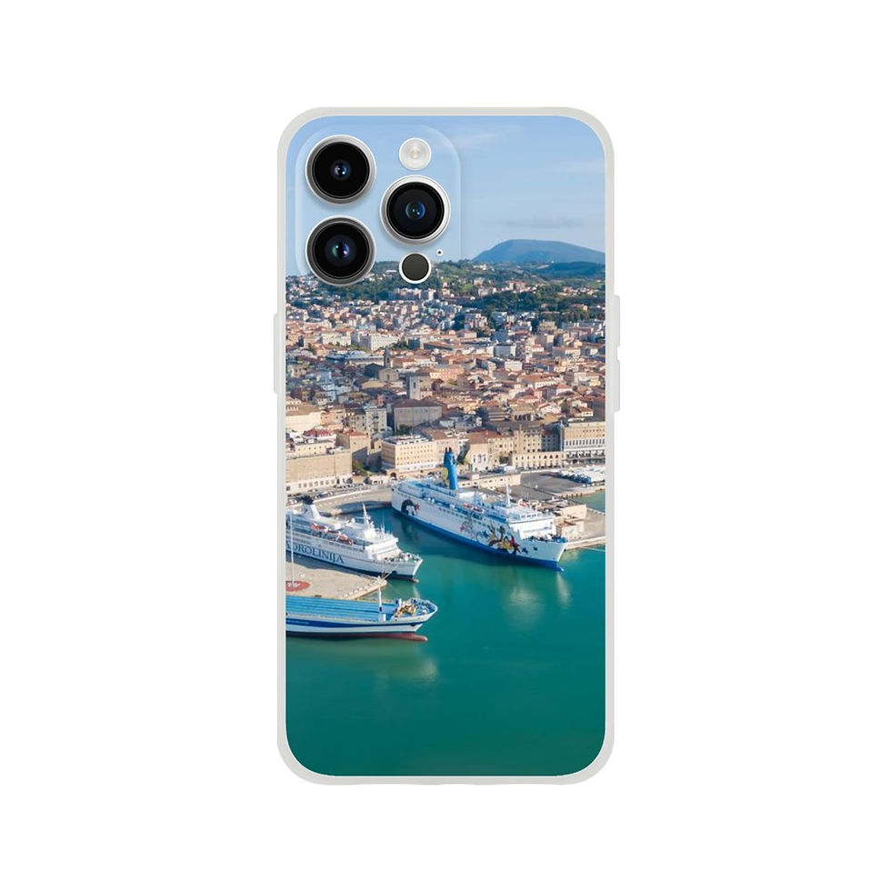 Ancona iPhone Flexi case