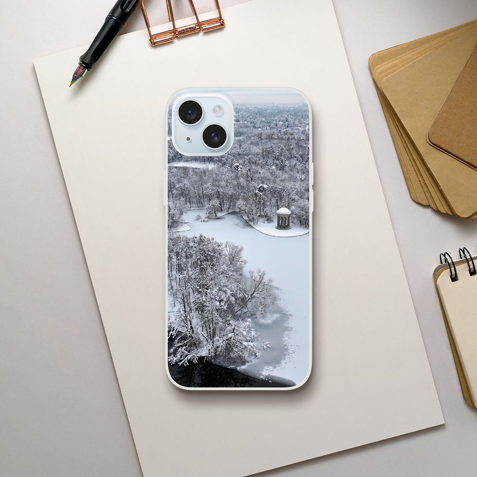 Thumbnail: Snowy Munich iPhone Flexi case