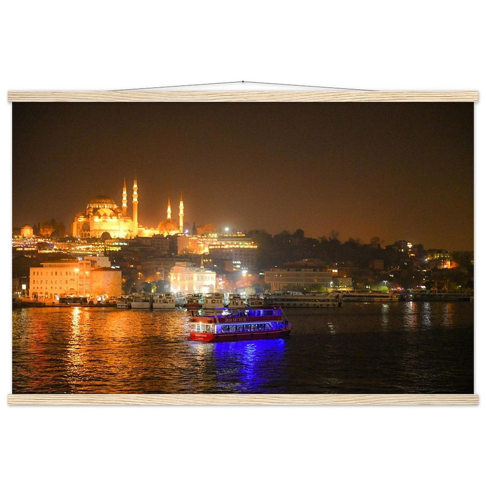 Thumbnail: Istanbul Horizontal Poster with Hanger
