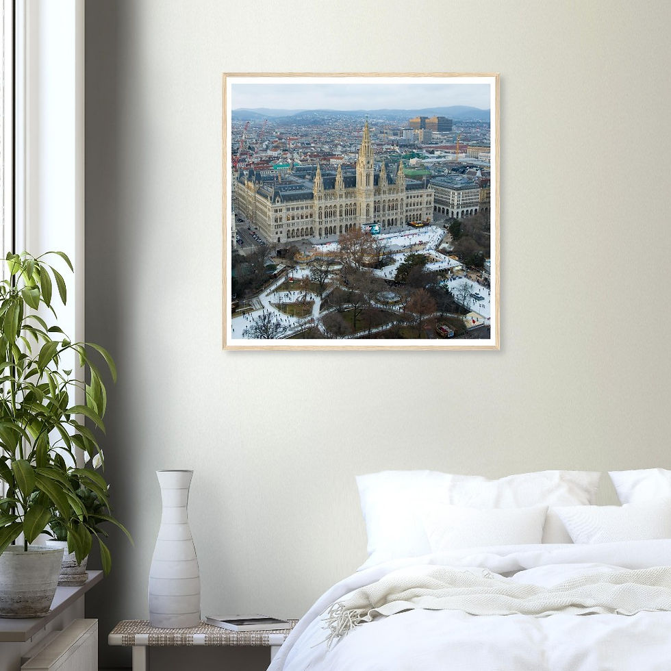 Vienna Rathaus Wall Art, Austria Travel Photography