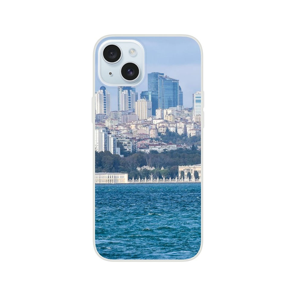 Istanbul iPhone Flexi case