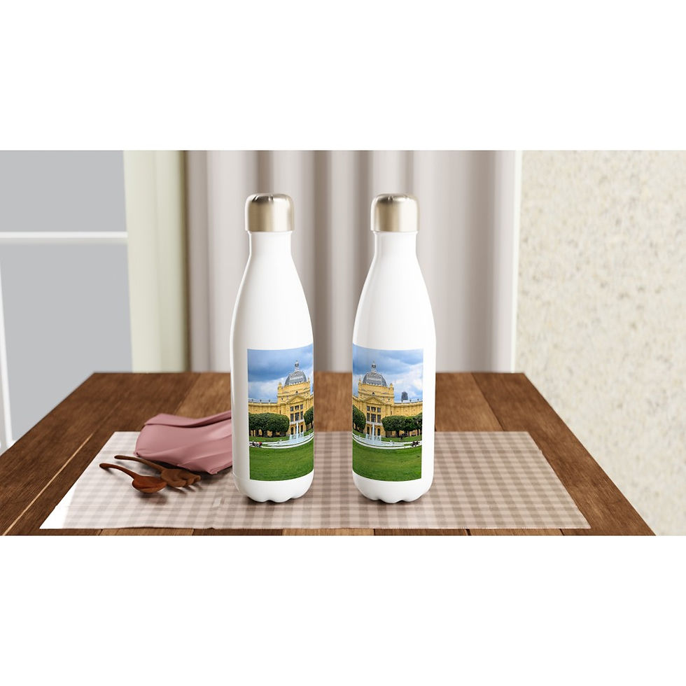 Thumbnail: Zagreb Stainless Steel Water Bottle