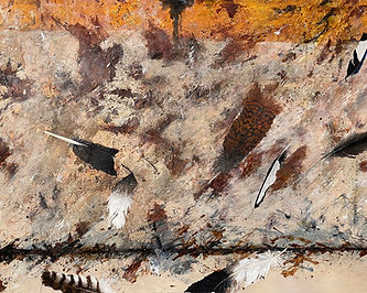 Feather Series #1