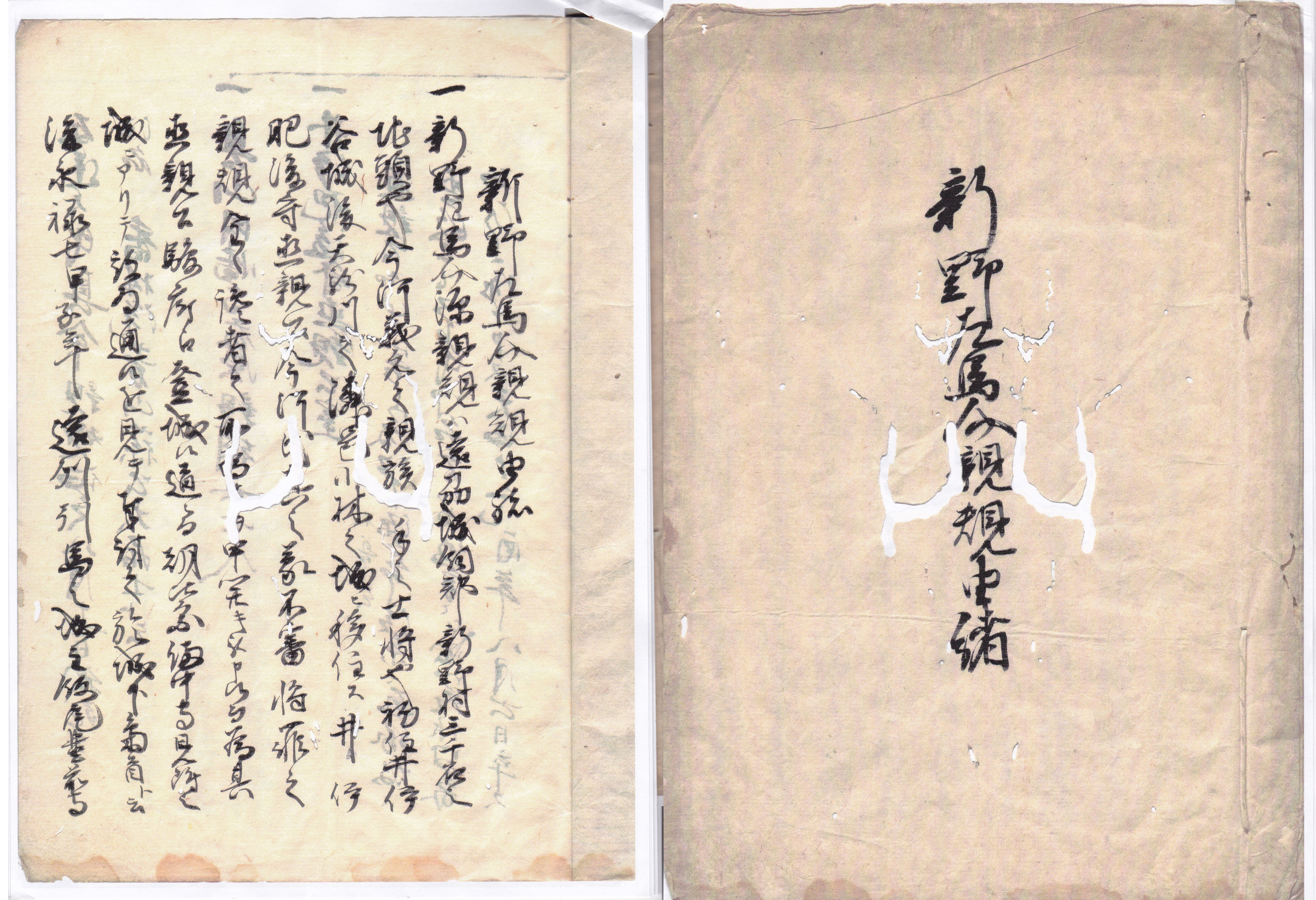 新野左馬助親規由緒