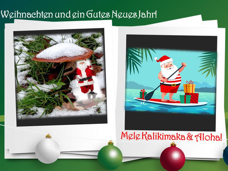 Frohe Festtage und ein überragendes "2022-er"!