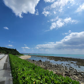 那覇への出張と経営支援業務の実施