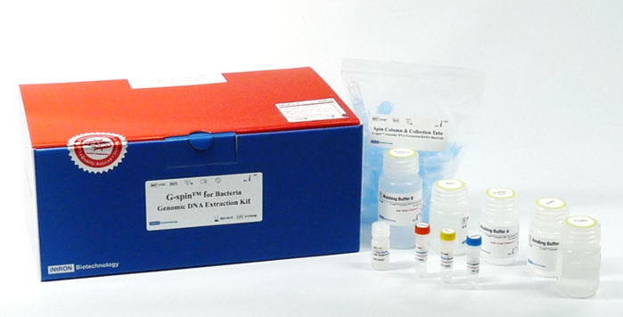 G-spin™ Genomic DNA Extraction Kit (for Bacteria)