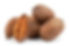 pecans.jpg