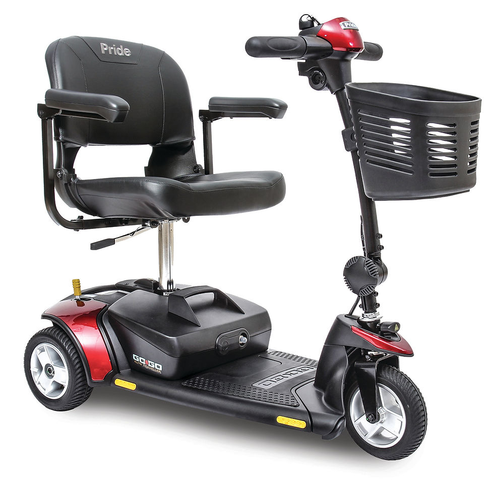 Go-Go Elite Traveller® 4-Wheel