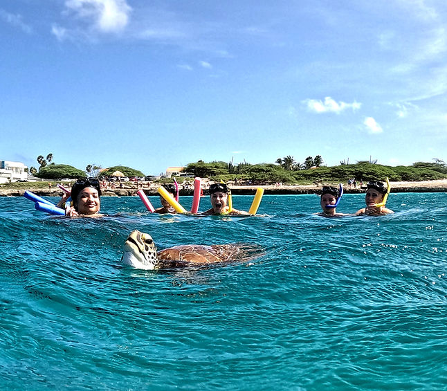 GOPR9861_1732654166746.JPG