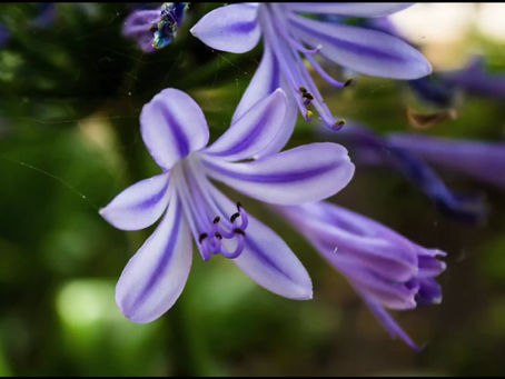 Flip The Switch Challenge