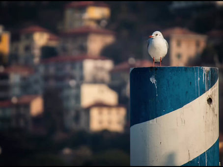 Flip The Switch Challenge