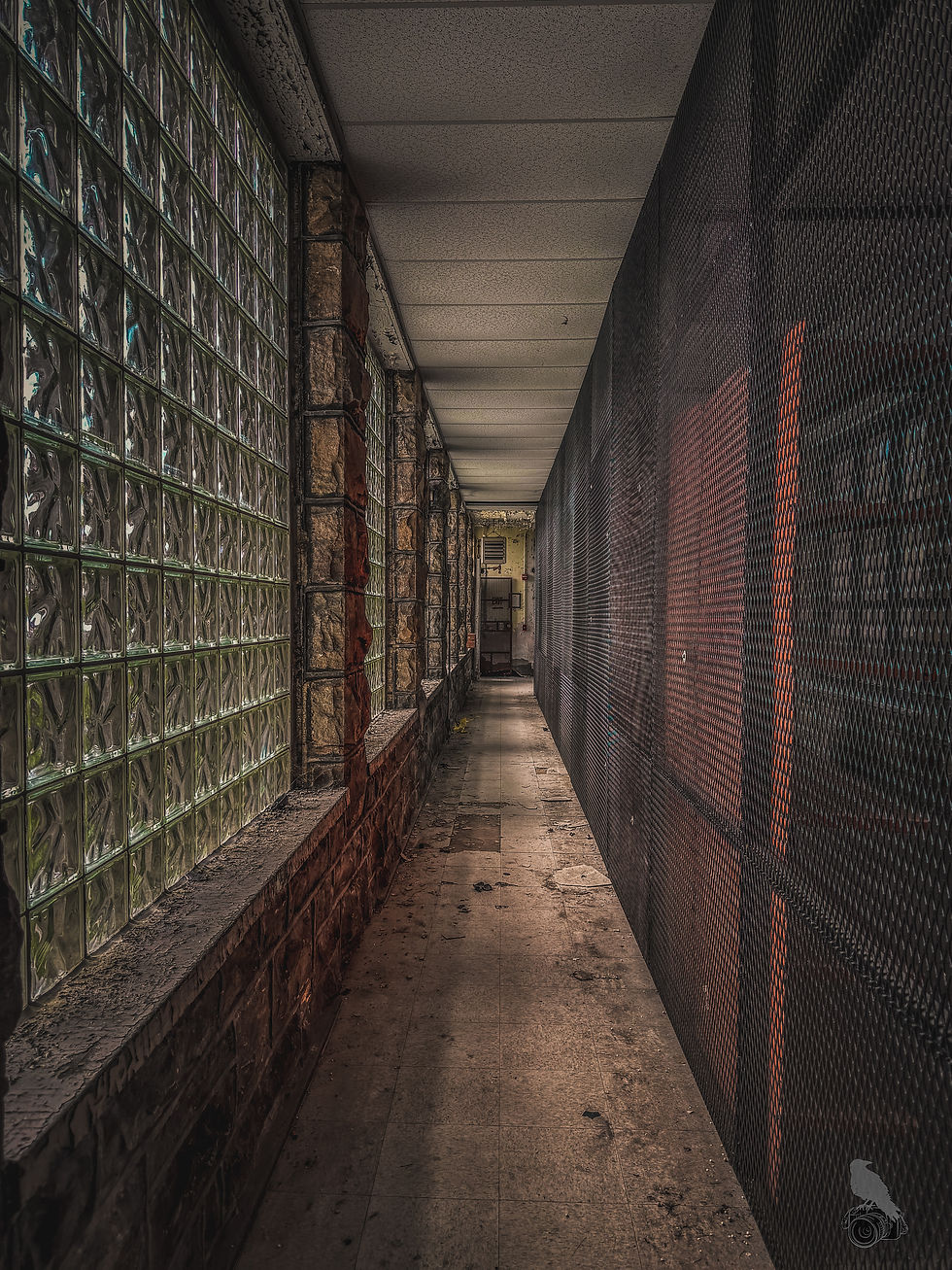 Photography & Exploration