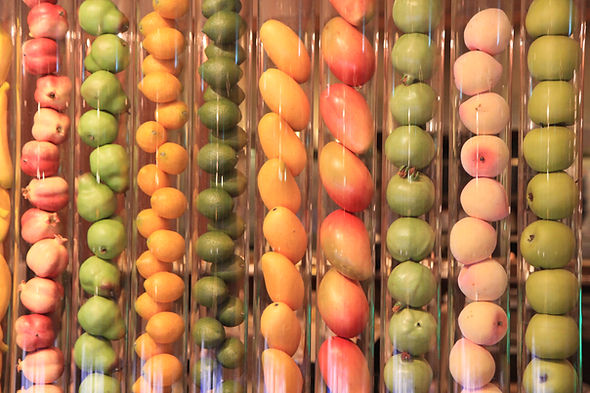 Malaysia - the color of fruits 1.JPG