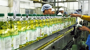 India's Ruchi Soya to Start Palm Oil Plantations in North East