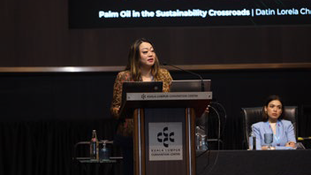 Palm Oil at the Sustainability Crossroads: Designing Architecture for a Coherent, Verifiable Future