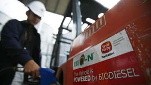 Biodiesel demand in the EU to remain stable, says Lipidos Santiga