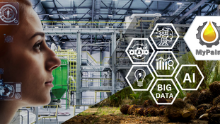 MyPalm – Revolutionizing Palm Oil Milling with Artificial Intelligence Technology 