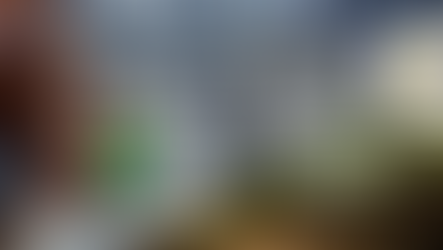 MyPalm – Revolutionizing Palm Oil Milling with Artificial Intelligence Technology