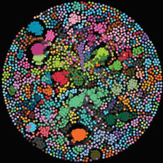 Big Data Toolkit to Mine the Dark Genome for Precision Medicine