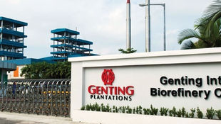Genting Plantations Expects Palm Oil Prices to Be Supported by Higher Demand
