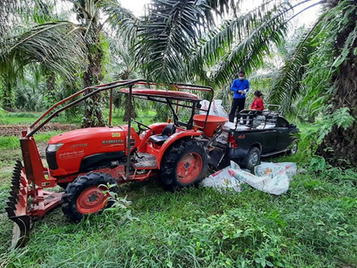 Rising Regulatory Risks May Force Planters to Scale Back in Indonesia