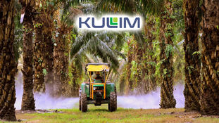 Malaysia Palm Oil Firm Kulim Receives First Post-Pandemic Migrant Workers