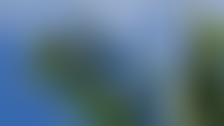 Boron Deficiency in Oil Palm