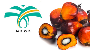 Advancing Johor’s Palm Oil Industry through Sustainability and Technology