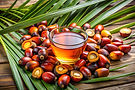 palm-oil-freshly-harvested-fruits-oil-glass.jpg
