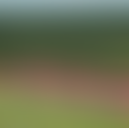 United Plantations Posts Best-Ever Profit In 120-Year History