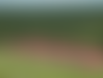 United Plantations Posts Best-Ever Profit In 120-Year History