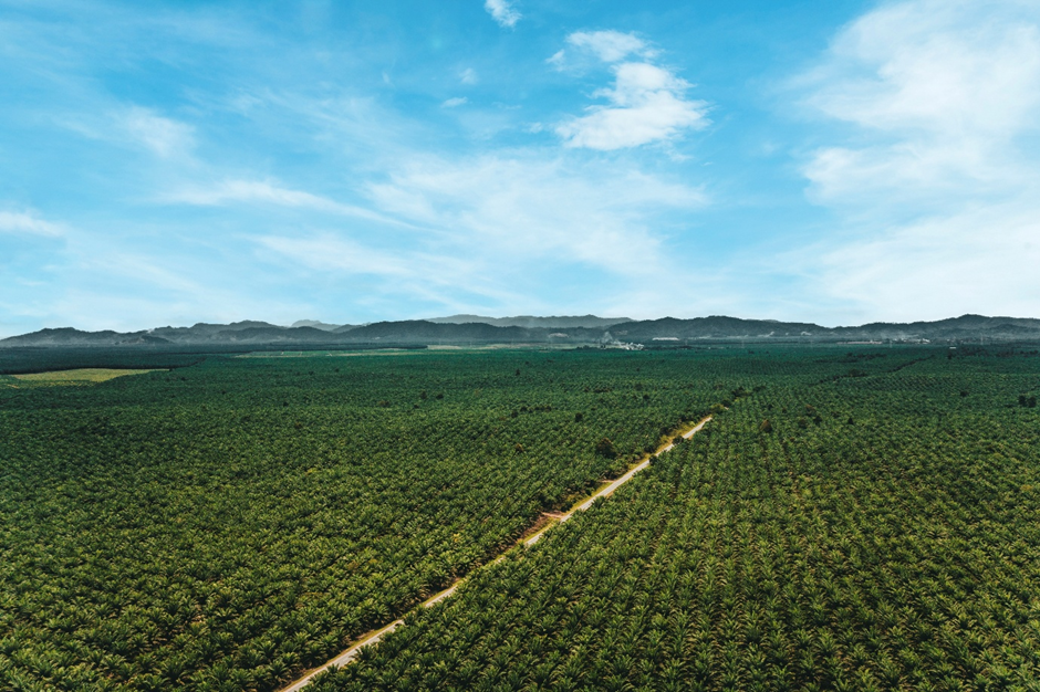 FGV In 2025: A New Chapter of Purpose, Trust and Nation-Building