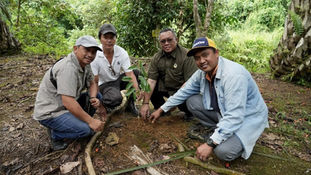 Stakeholders Empower Tawau Oil Palm Smallholders through Agroforestry