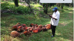 AERP - Cloud based ERP system for Plantation Companies