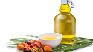 Indonesia's Domestic Market Obligation U-Turn Positive for CPO Price