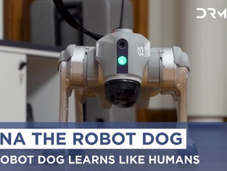 Robot Dog Learns, Adapts Like Humans, Swedish AI Startup Intuicell Says