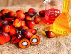 Palm Oil Unpacked: Separate Fact from Fiction on Cholesterol