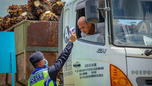 Covid-19: S’wak oil palm plantations, mills to submit workers’ list