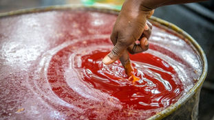 Red Gold: The Rise and Fall of West Africa’s Palm Oil Empire