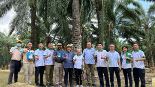 Advancing Sustainable Agriculture: A Collaborative Effort to Combat Ganoderma Infection in Oil Palm Plantations between MPOB and IBG biofertilizer