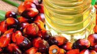Demand for Sustainable Palm Oil Remains Healthy During Lockdown