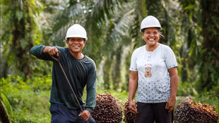 Rantai Pasok Terintegrasi Kunci Utama untuk Meningkatkan Produktivitas dan Mata Pencaharian Petani