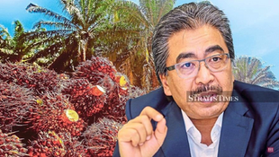 Independent Smallholders Can Form Larger Clusters to Bolster Malaysia's Palm Oil Output: Johari Ghani