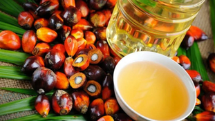 Import Tax Hike Not a Threat to Malaysian Palm Oil