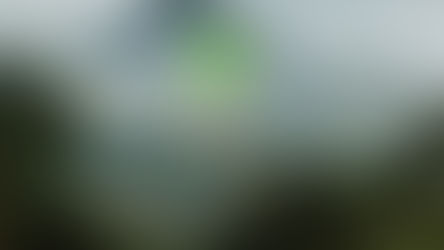 RSPO Says Its Criteria Is One of the World’s Strictest on Deforestation