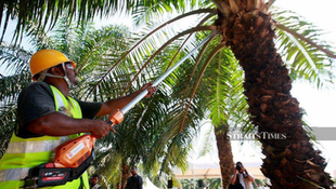 MY-UAE CEPA to Propel Malaysia’s Palm Oil Industry to New Heights