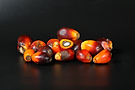 oil-palm-fruit-product.jpg